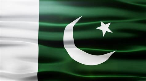 flag that looks like pakistan